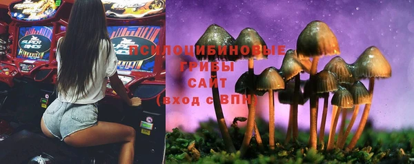 ALPHA-PVP Туринск