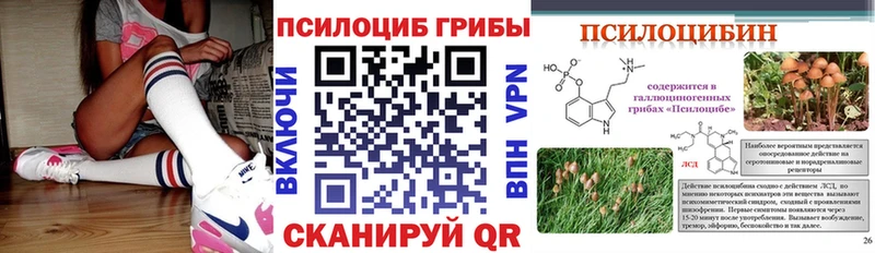 Купить закладки  Старая Русса  Псилоцибиновые грибы мухоморы 